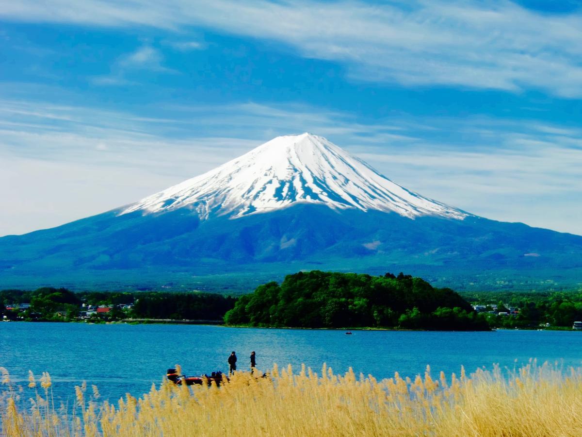 Mt Fuji Cat&Dog&Spa Pension Blue Poppy Fujikawaguchiko Zewnętrze zdjęcie