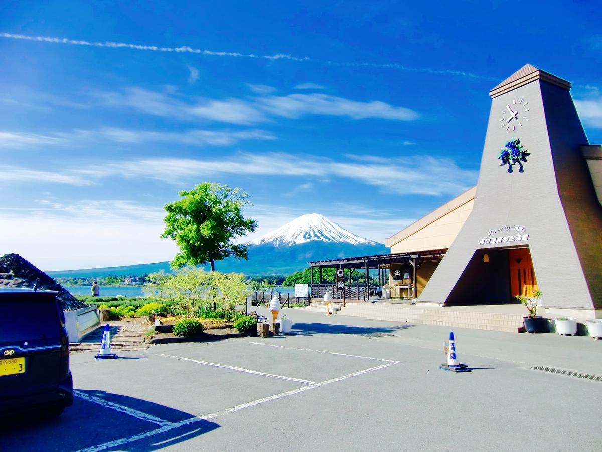 Mt Fuji Cat&Dog&Spa Pension Blue Poppy Fujikawaguchiko Zewnętrze zdjęcie