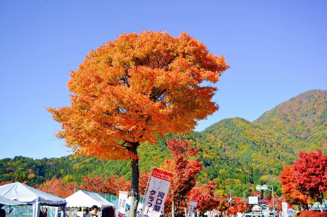 Mt Fuji Cat&Dog&Spa Pension Blue Poppy Fujikawaguchiko Zewnętrze zdjęcie