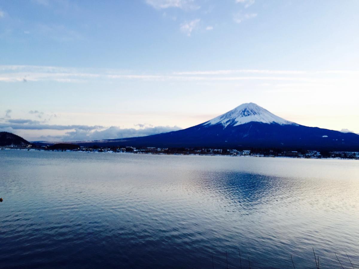 Mt Fuji Cat&Dog&Spa Pension Blue Poppy Fujikawaguchiko Zewnętrze zdjęcie