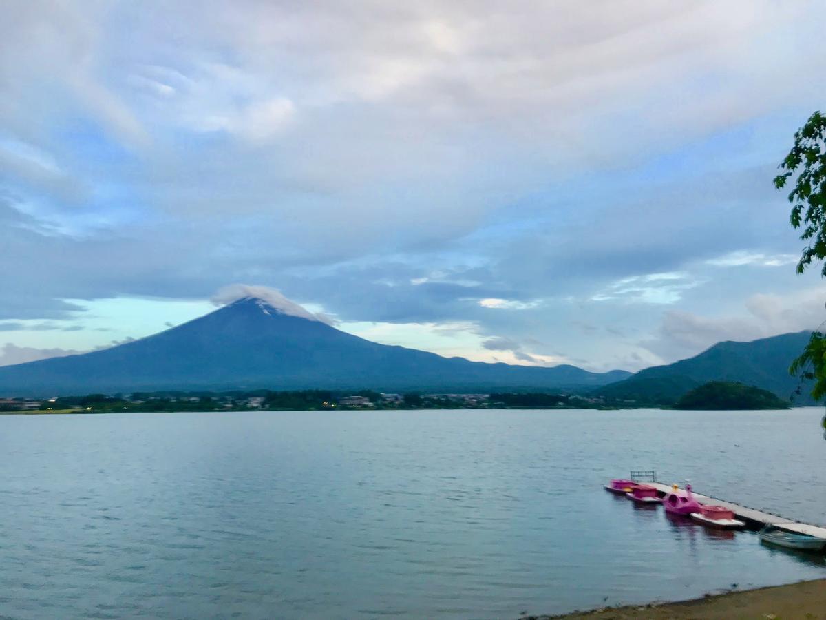 Mt Fuji Cat&Dog&Spa Pension Blue Poppy Fujikawaguchiko Zewnętrze zdjęcie