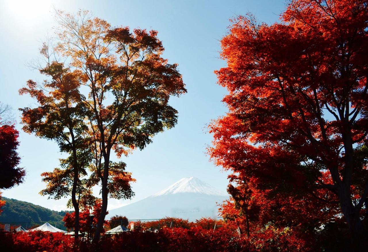 Mt Fuji Cat&Dog&Spa Pension Blue Poppy Fujikawaguchiko Zewnętrze zdjęcie