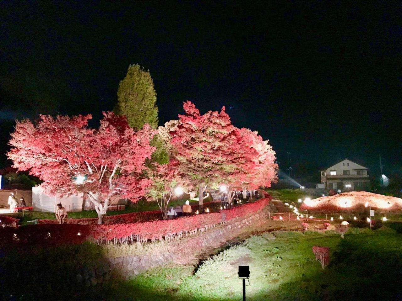 Mt Fuji Cat&Dog&Spa Pension Blue Poppy Fujikawaguchiko Zewnętrze zdjęcie