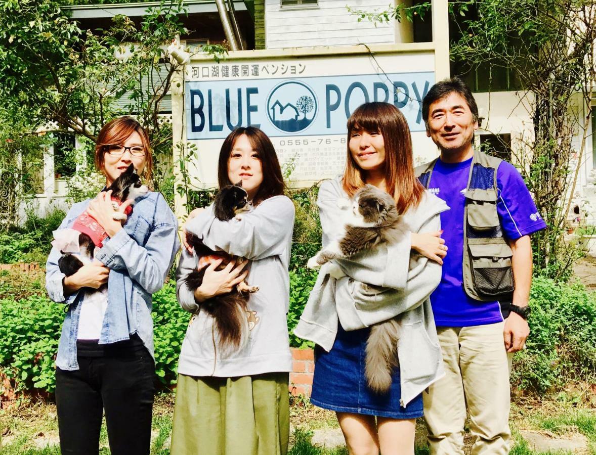 Mt Fuji Cat&Dog&Spa Pension Blue Poppy Fujikawaguchiko Zewnętrze zdjęcie