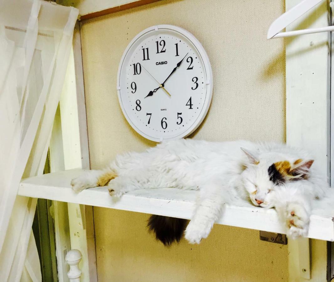 Mt Fuji Cat&Dog&Spa Pension Blue Poppy Fujikawaguchiko Zewnętrze zdjęcie