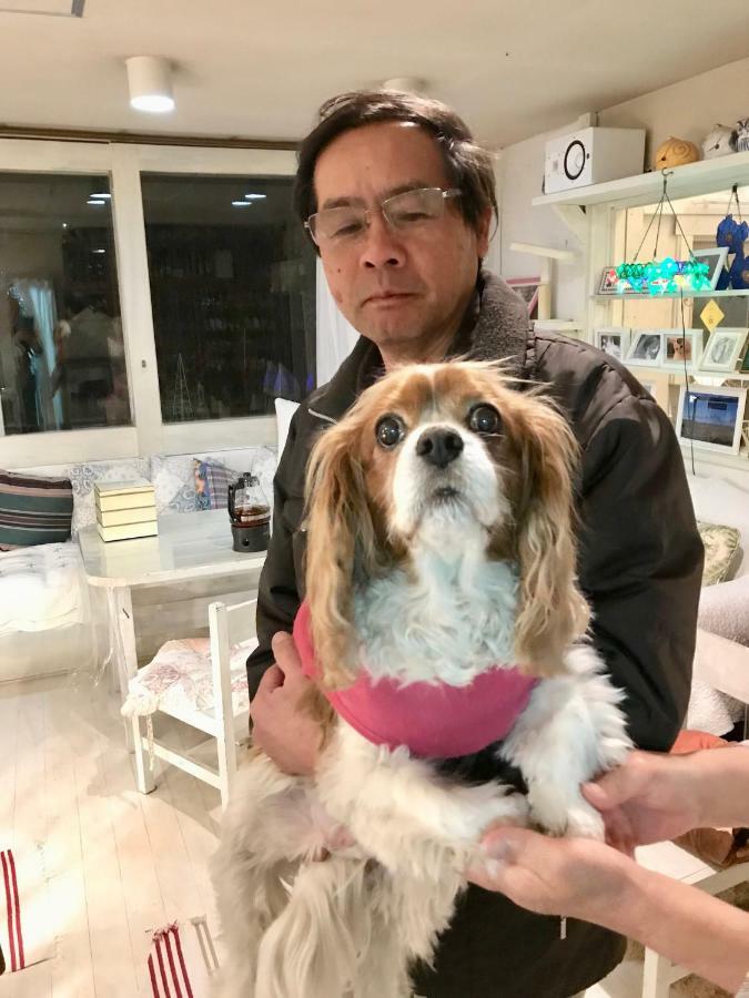 Mt Fuji Cat&Dog&Spa Pension Blue Poppy Fujikawaguchiko Zewnętrze zdjęcie