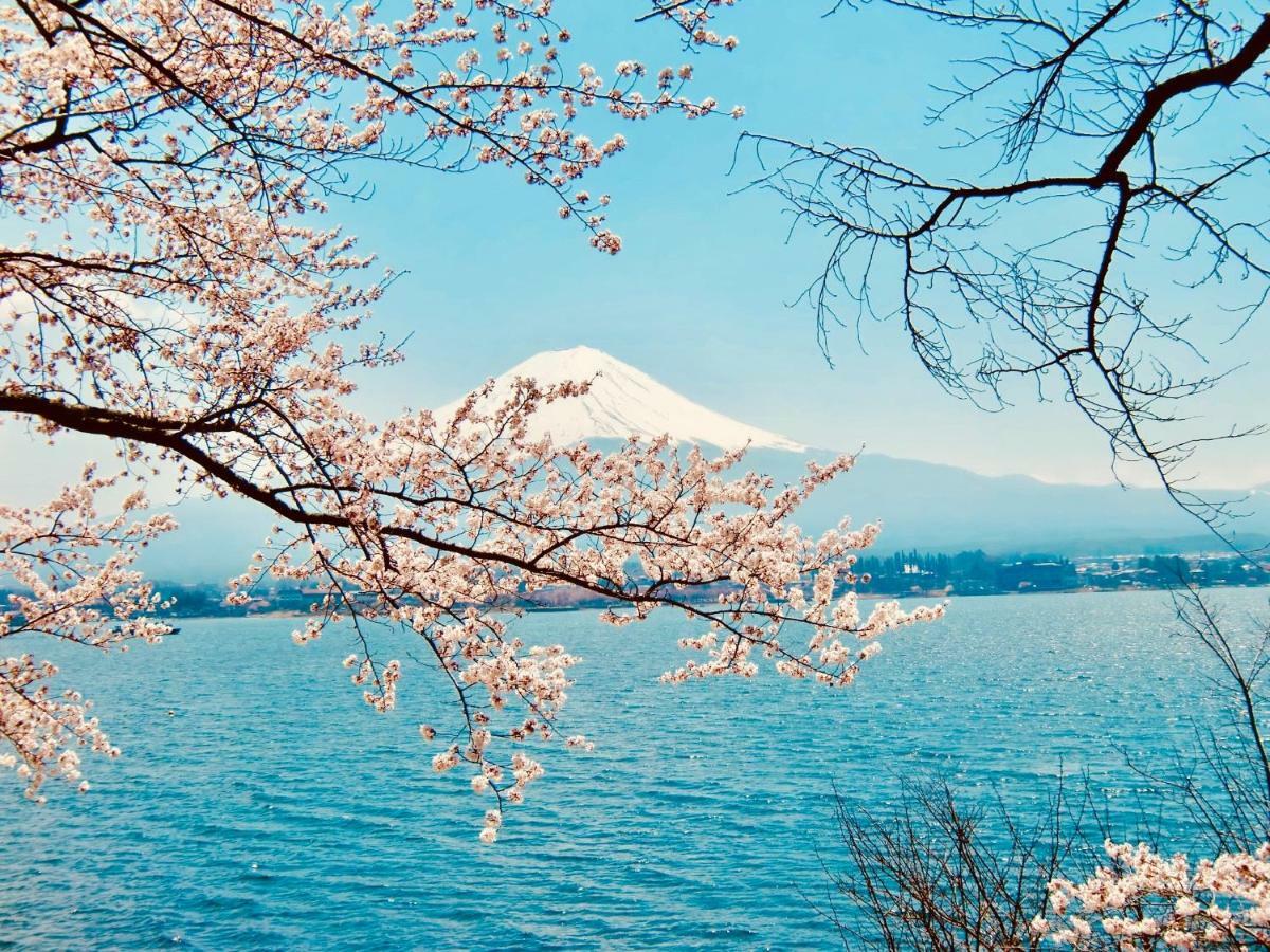 Mt Fuji Cat&Dog&Spa Pension Blue Poppy Fujikawaguchiko Zewnętrze zdjęcie